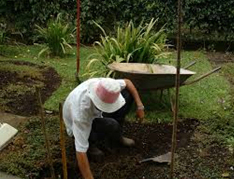 jardineria-serivicio